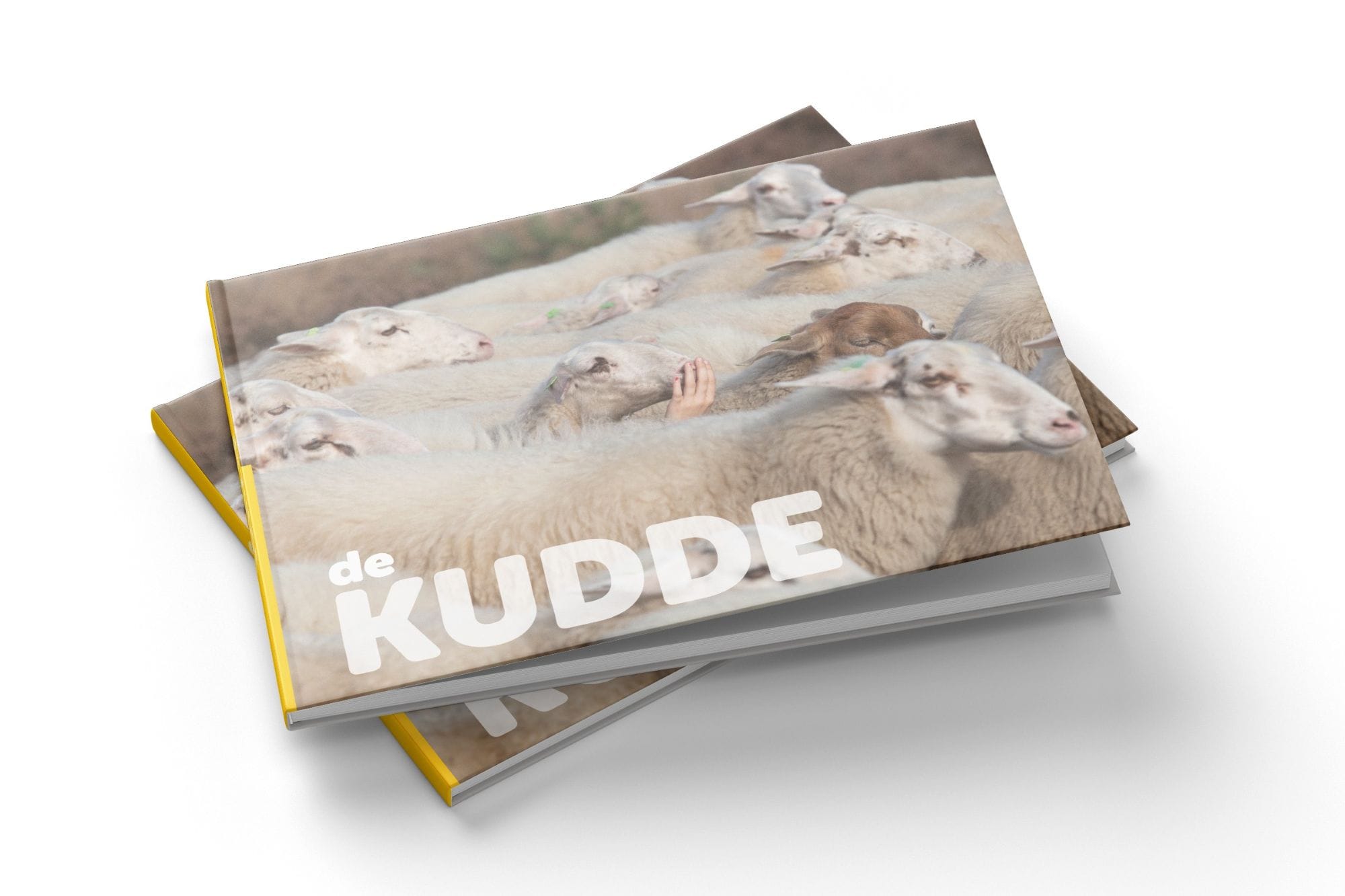 Jubileum Schaapskudde Nunspeet vastgelegd in boek