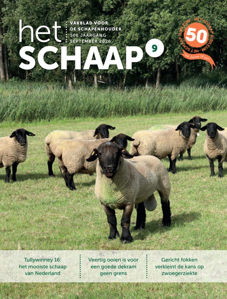 Het Schaap nr. 9 2026