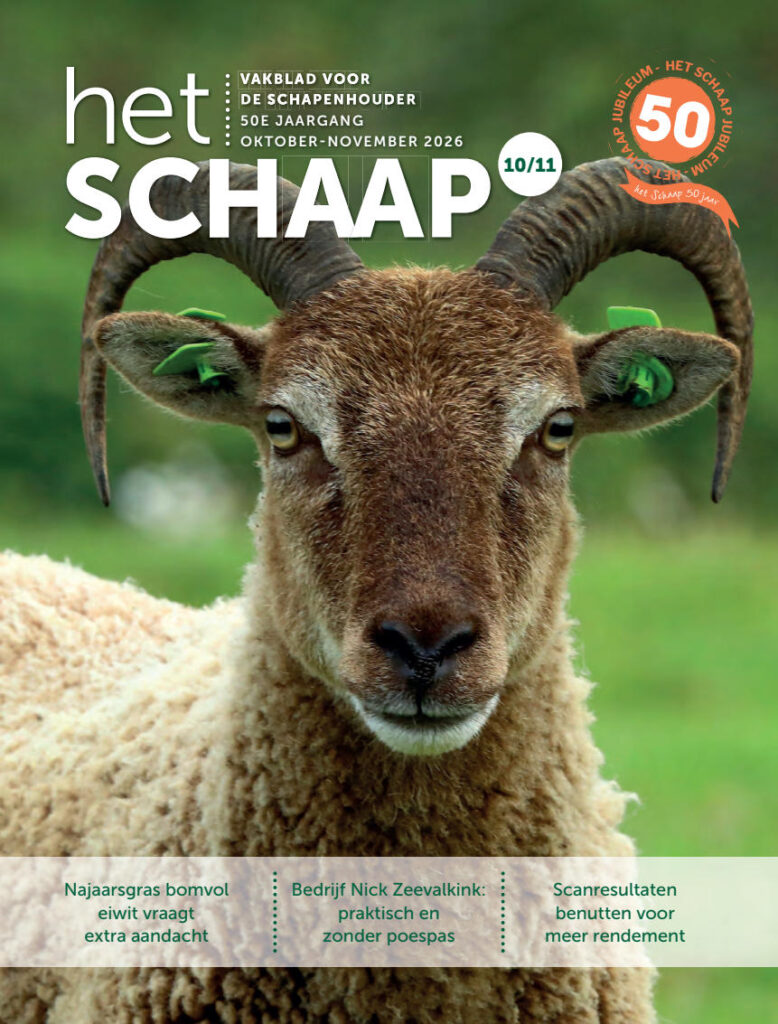 Het Schaap nr. 10/11