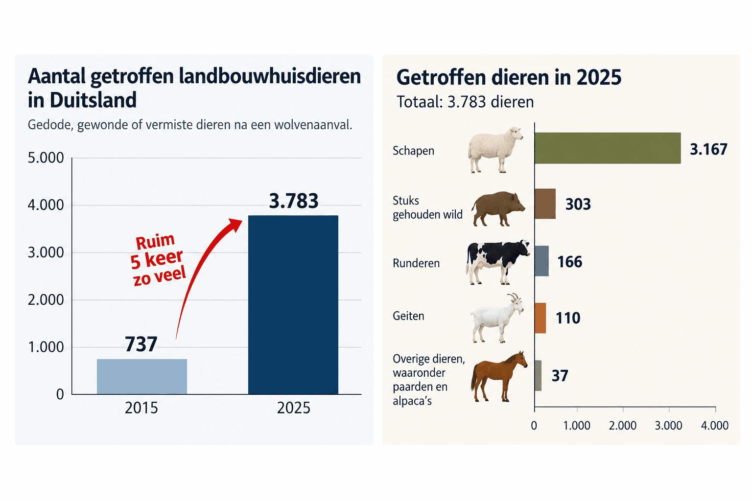 Duitsland meldt vijf keer zoveel wolvenschade als tien jaar terug
