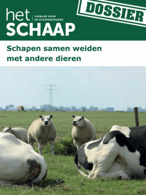 Dossier, Schapen samen weiden met andere dieren