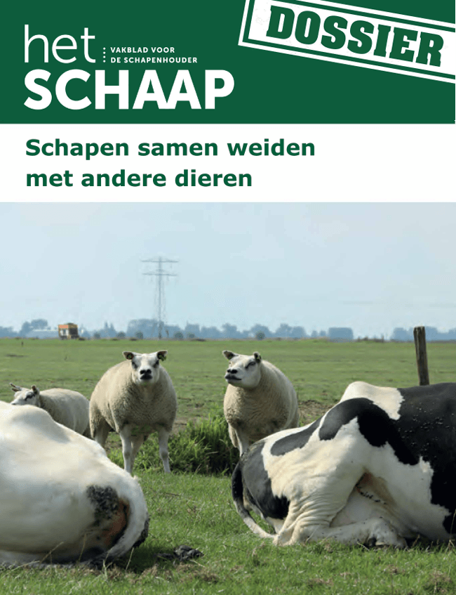 Dossier, Schapen samen weiden met andere dieren