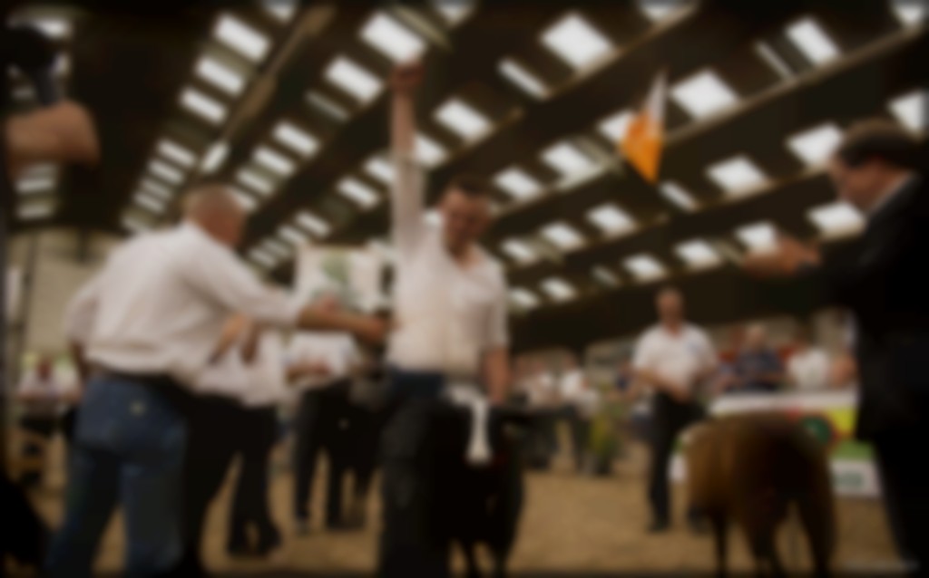Naar de keuring? Zo maak je een schaap keuringsklaar