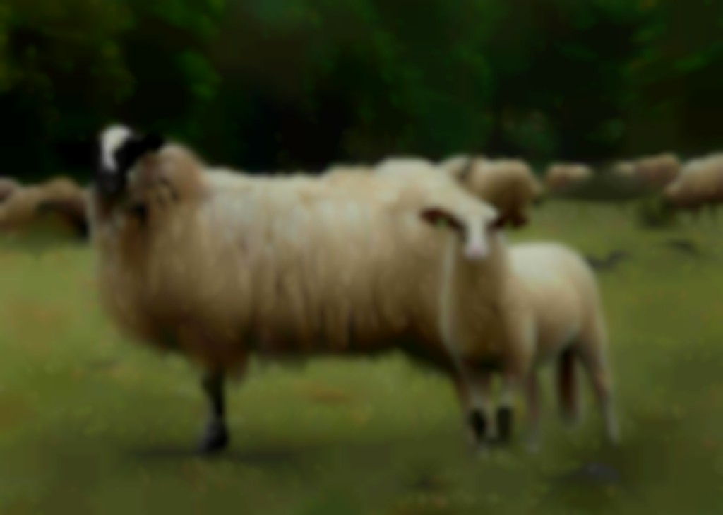 Schoonebeeker ooi met lam