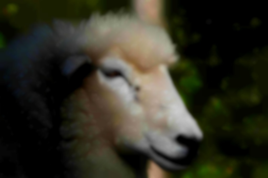kop van schaap van opzij gezien