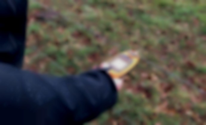 Afrastering tegen de wolf