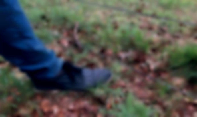 Belangrijk is om de onderste draad op maximaal 20 cm te zetten, zodat de wolf er niet onderdoor kan. Draad dient aan buitenkant van de palen bevestigd te worden.