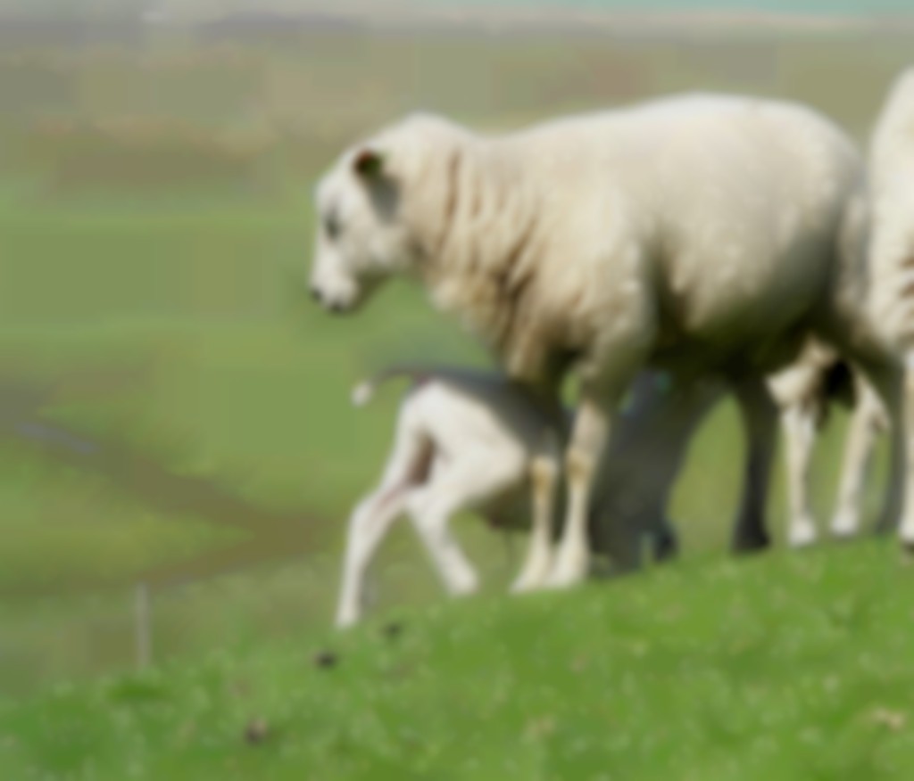 Wekenlang heeft de pens in de verdrukking gezeten, het kost een paar weken voor
alles weer helemaal is uitgedeukt.