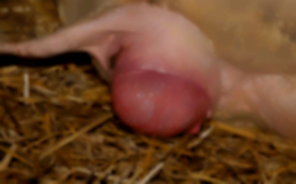 ooi met vaginale prolaps