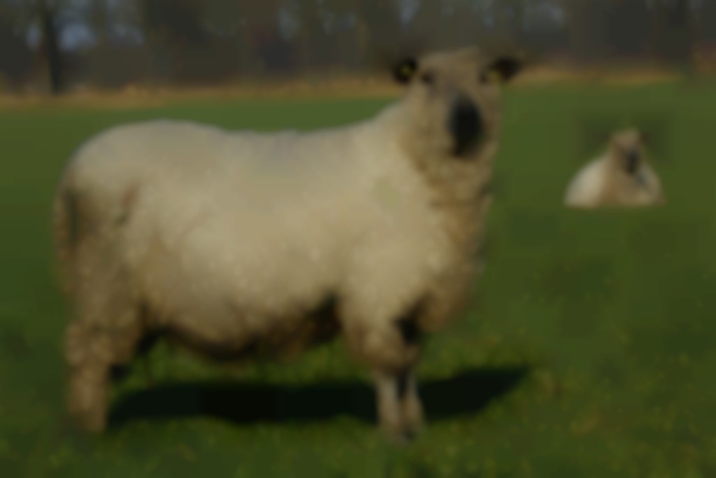 wensleydale
